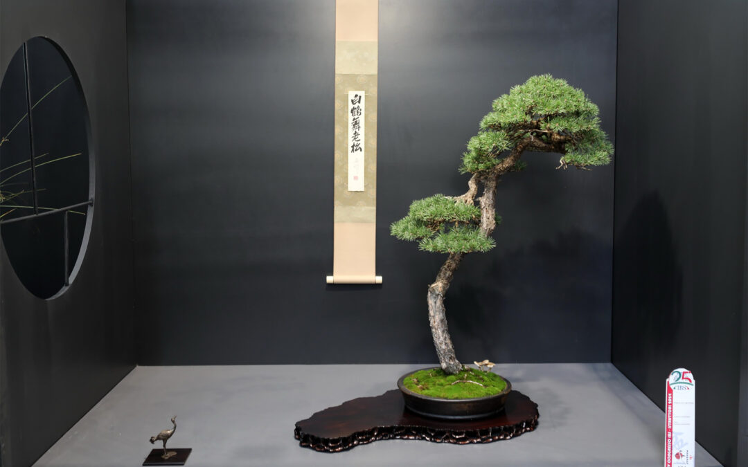 26° Congresso degli Istruttori Bonsai e Suiseki